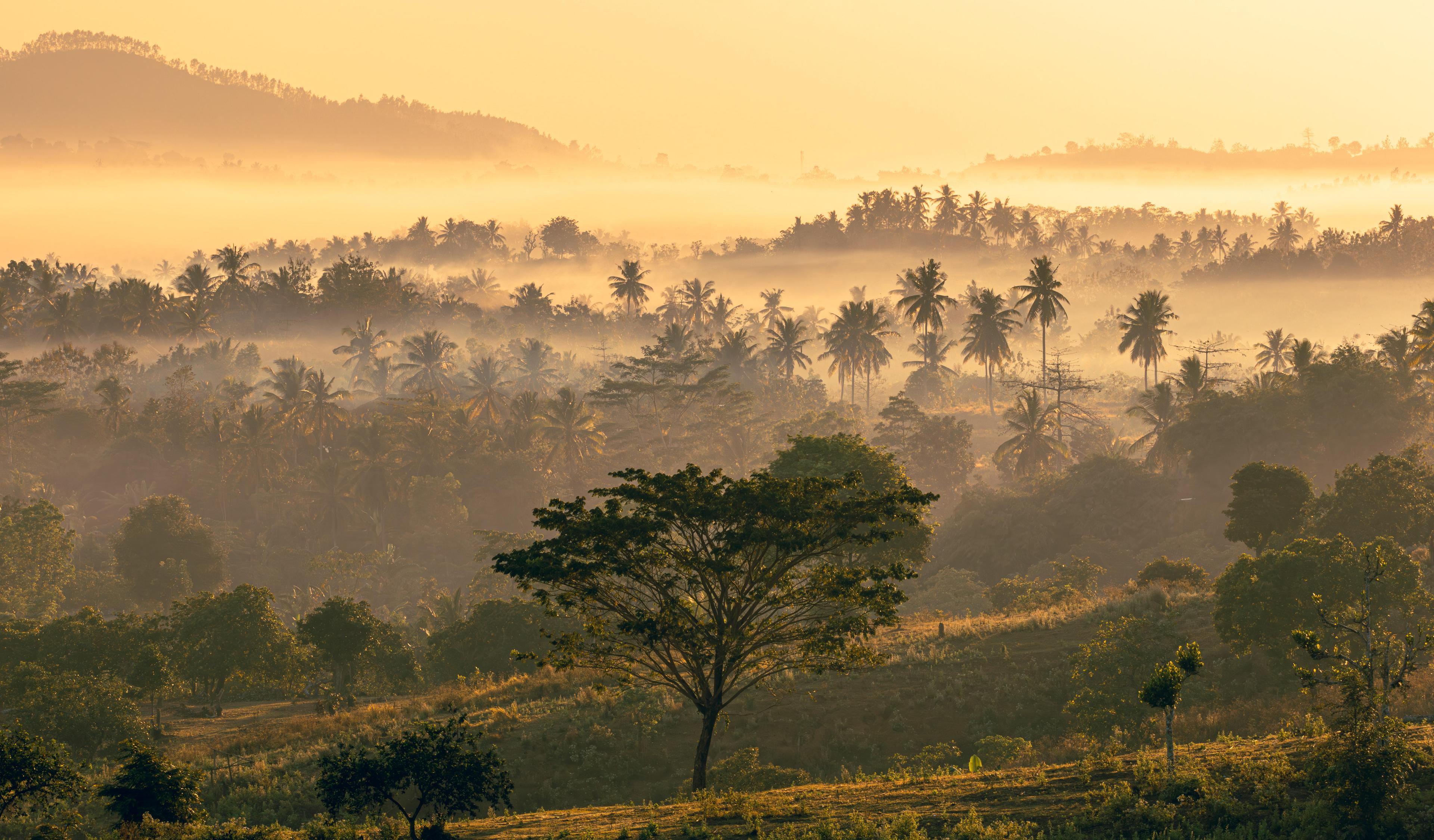 2025 Land Gap Report Cover