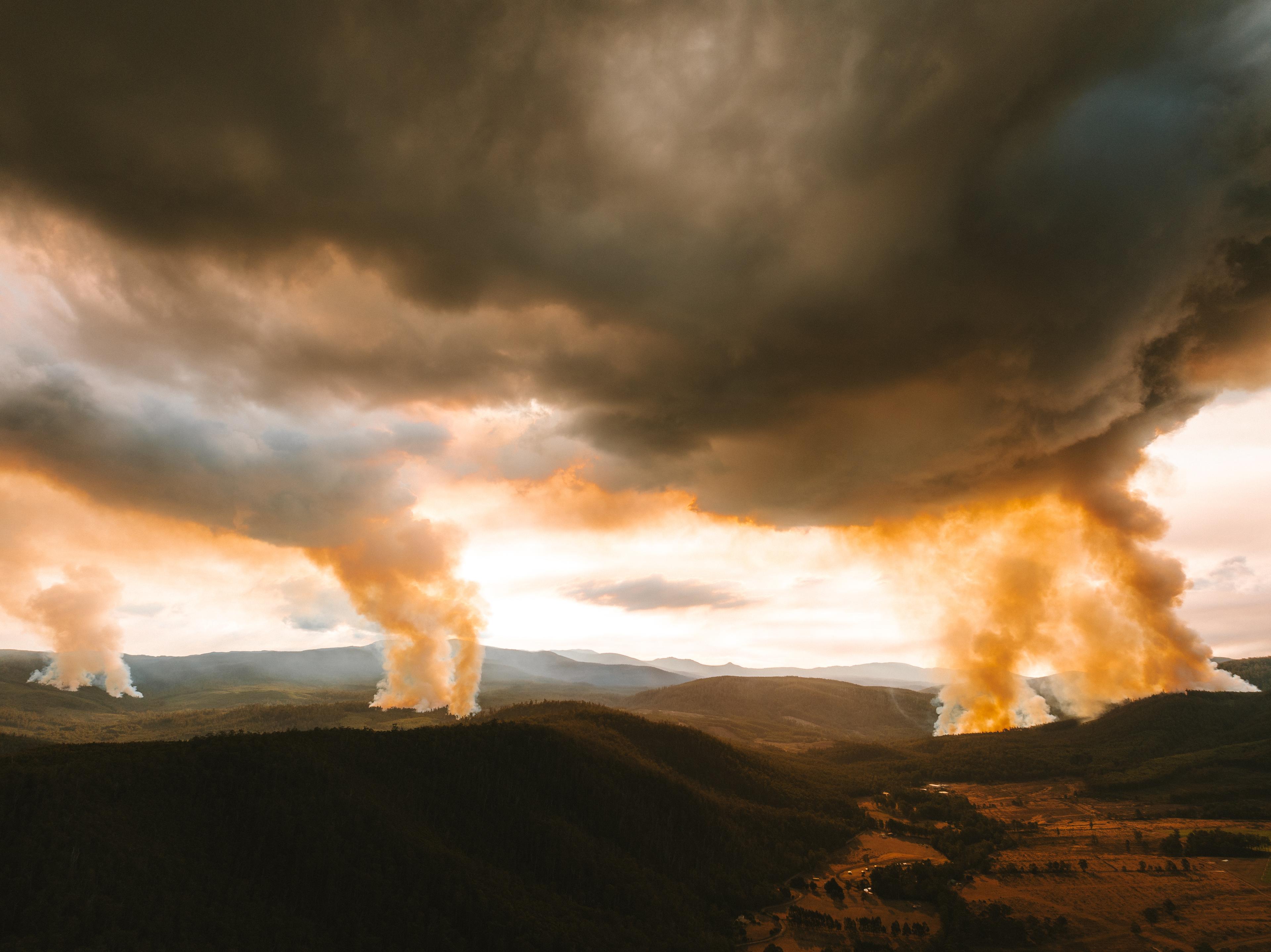 Forestry Tasmania's firebombing of native forests in Southern Tasmania